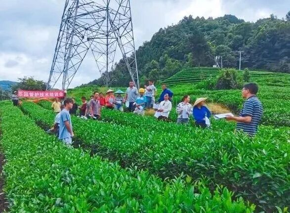 岁月不负耕耘，致敬每一位努力奔跑的平凡人